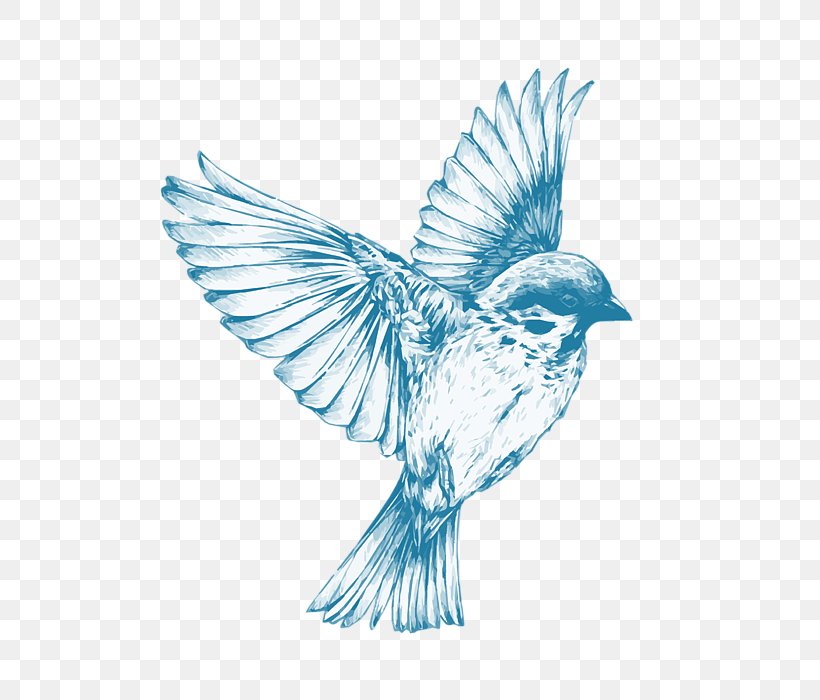 Bird Drawing Art Sketch, PNG, 591x700px, Bird, Art, Art Museum, Beak, Bird Flight Download Free