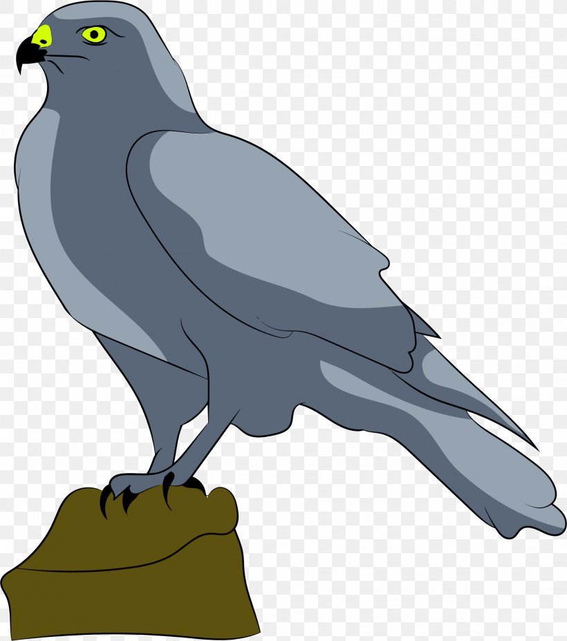 Bird Falcon Drawing Clip Art, PNG, 2042x2310px, Bird, Animal, Beak, Bird Of Prey, Crow Download Free