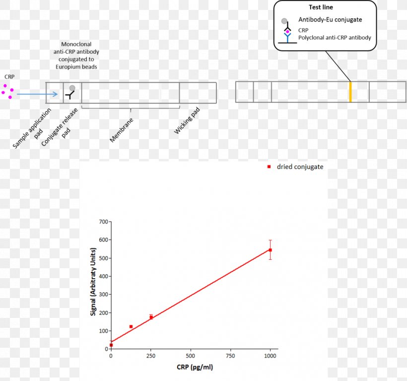 Document Line Angle, PNG, 1017x952px, Document, Area, Diagram, Light, Paper Download Free