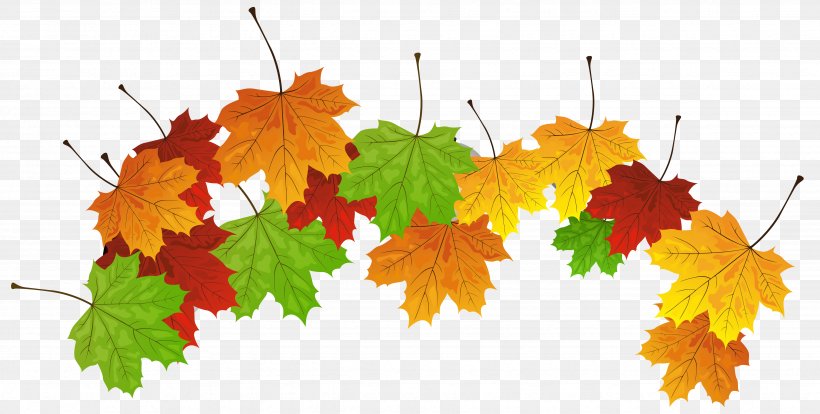 Leaf Download Clip Art, PNG, 4725x2387px, Leaf, Autumn, Branch, Maple Leaf, Maple Tree Download Free