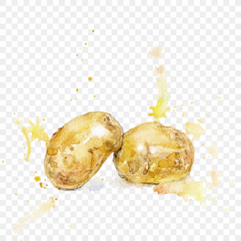 Potato Watercolor Painting Vegetable, PNG, 1800x1800px, Potato, Cdr, Drawing, Food, Fruit Download Free