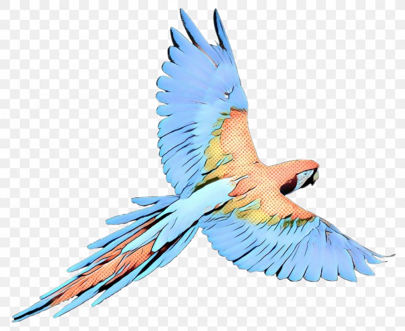 Budgerigar Parrot Macaw Bird Parakeet, PNG, 1286x1050px, Budgerigar, Beak, Bird, Bird Flight, Birdofparadise Download Free