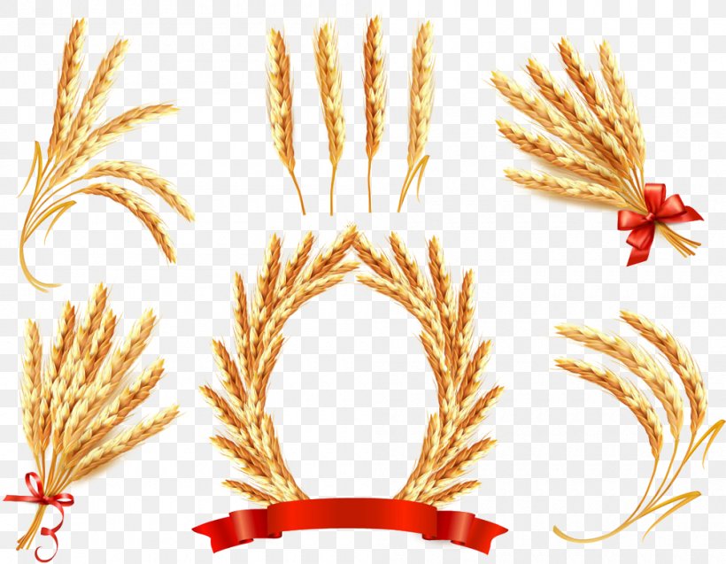 Ear Wheat Cereal Illustration, PNG, 1000x777px, Ear, Cereal, Commodity, Food, Grass Family Download Free