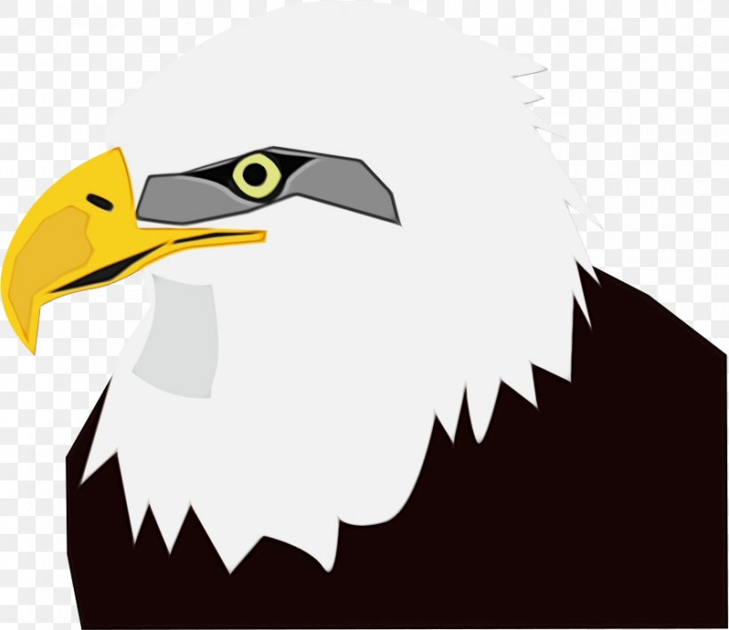 Golden Background, PNG, 889x768px, Bald Eagle, Beak, Bird, Bird Of Prey, Cartoon Download Free