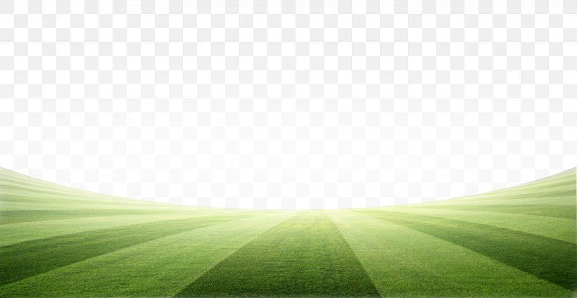 Lawn Meadow Green Energy Wallpaper, PNG, 3309x1715px, Lawn, Computer, Energy, Field, Grass Download Free