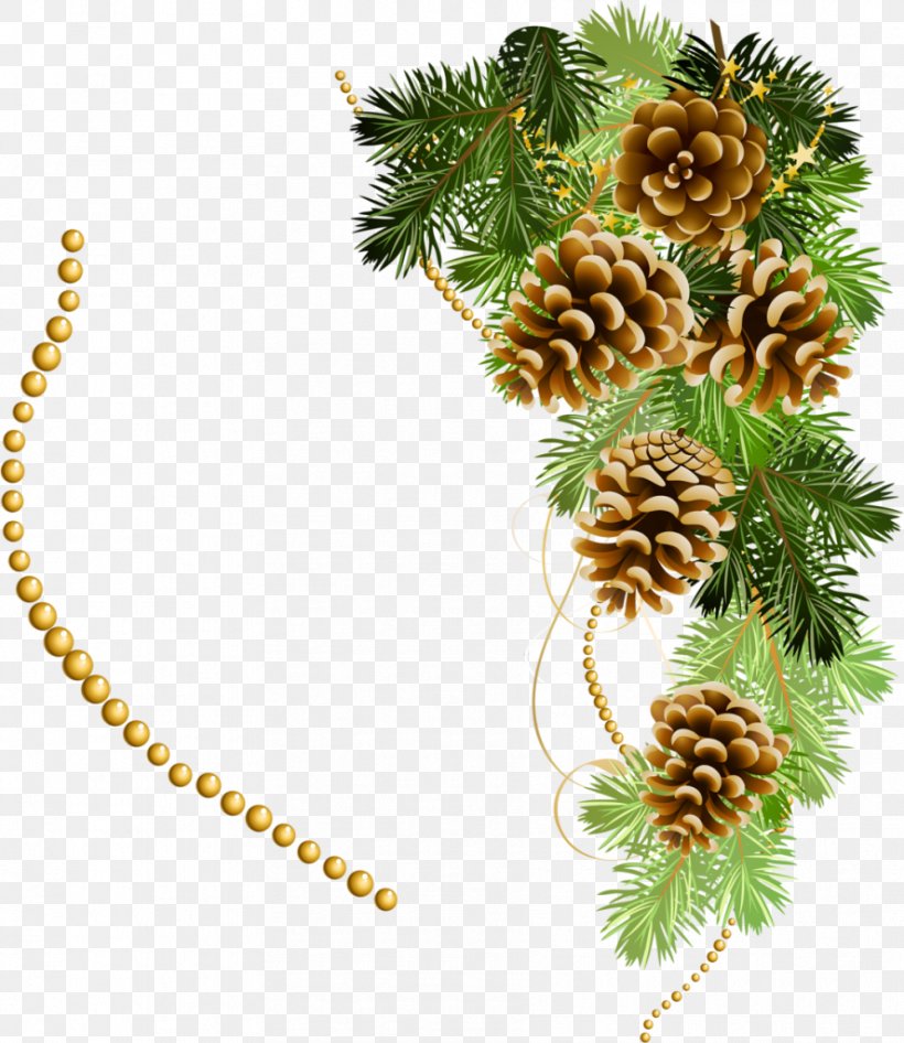 Progressiv Severo-Zapad Conifer Cone Spruce Clip Art, PNG, 887x1024px, Conifer Cone, Artikel, Christmas Decoration, Christmas Ornament, Computer Download Free