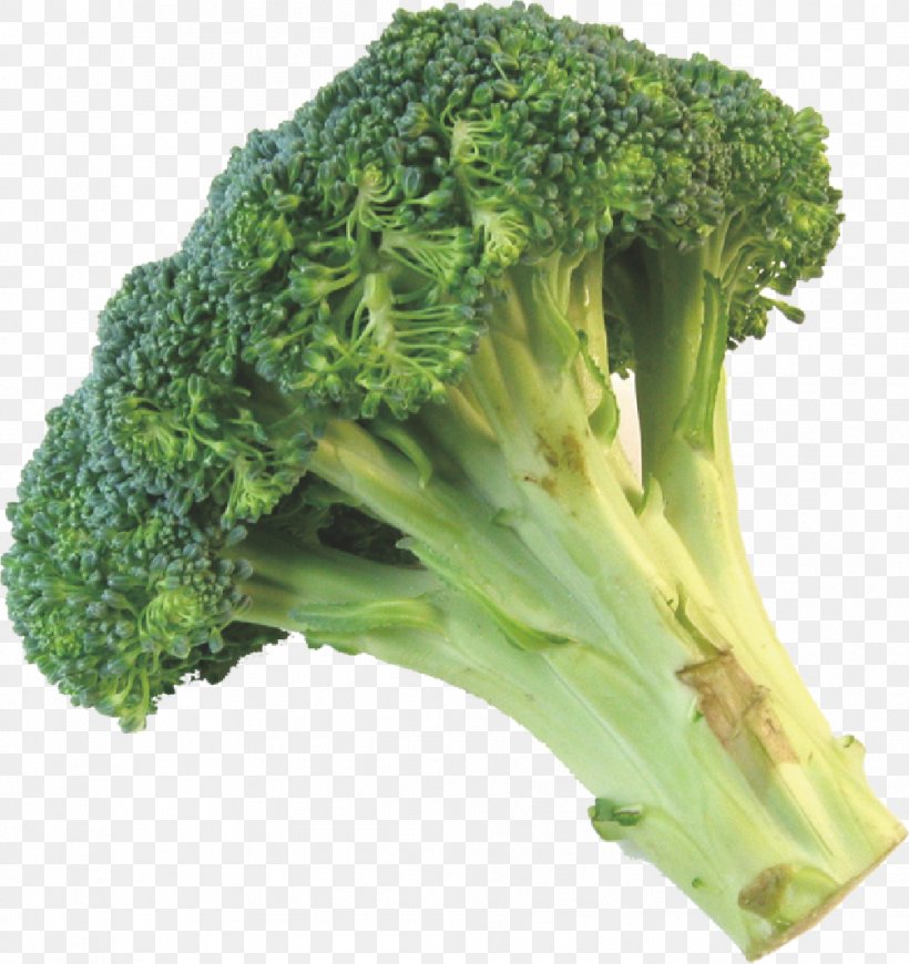 Broccoli Cauliflower Leftovers Vegetable, PNG, 1004x1066px, Broccoli, Brassica Oleracea, Broccoflower, Broccoli Sprouts, Cooking Download Free