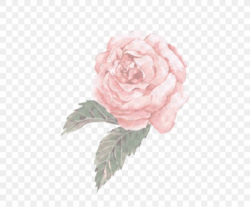 Garden Roses, PNG, 3000x2494px, Pink, Flower, Flowering Plant, Garden Roses, Hybrid Tea Rose Download Free