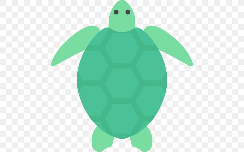 Green Sea Turtle Green Sea Turtle Cheloniidae Tortoise, PNG, 512x512px, Turtle, Cheloniidae, Color, Grass, Green Download Free