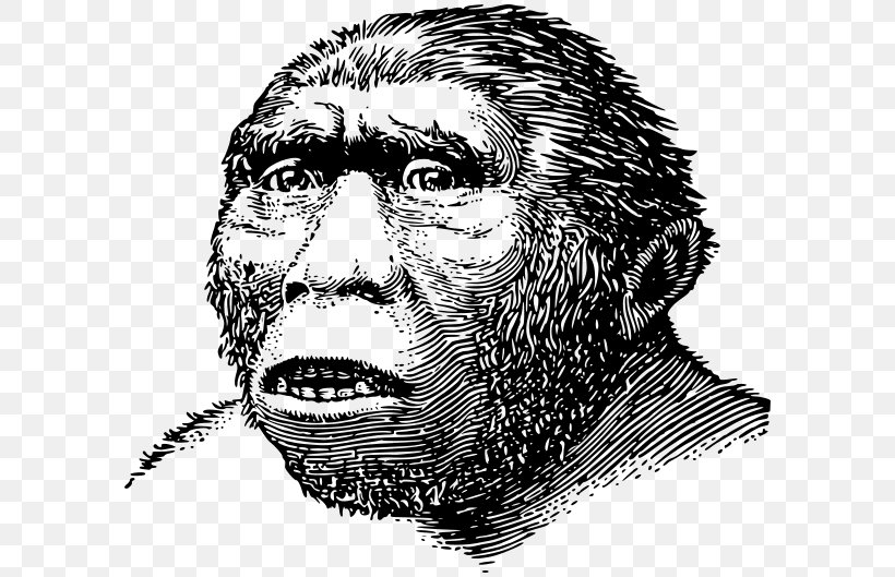 Sangiran Homo Sapiens Java Man Archaic Humans Meganthropus, PNG, 600x529px, Homo Sapiens, Archaic Humans, Art, Australopithecine, Beard Download Free