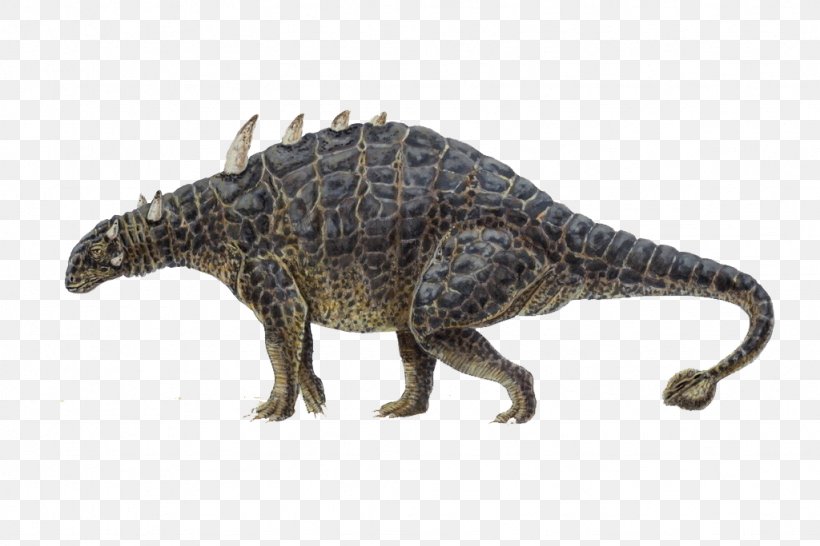 Euoplocephalus Ankylosaurus Styracosaurus Diplodocus Tuojiangosaurus, PNG, 1024x683px, Euoplocephalus, Ankylosauria, Ankylosaurus, Bone, Cretaceous Download Free