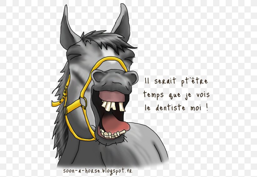 Horse Equine Dentistry Dog Tooth, PNG, 550x563px, Horse, Blog, Carnivoran, Cartoon, Dental Technician Download Free