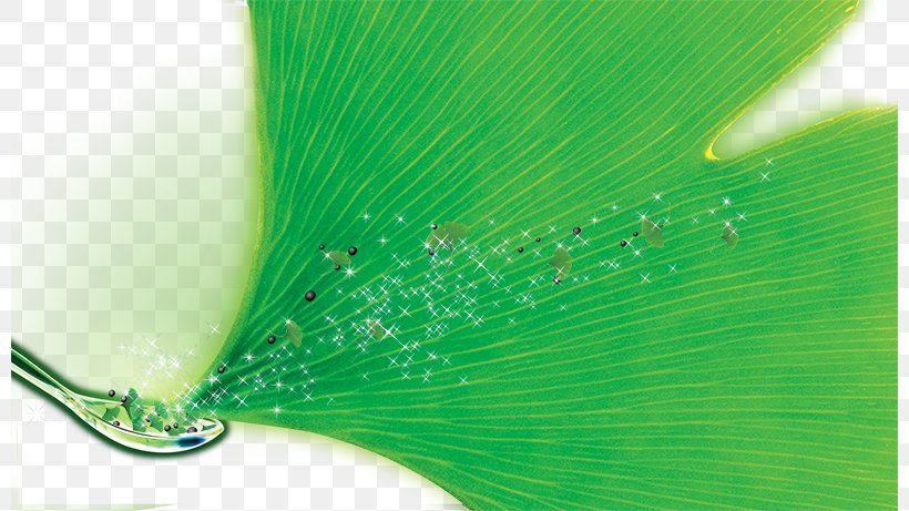 Molecule Green Advertising, PNG, 800x461px, Molecule, Advertising, Grass, Green, Leaf Download Free