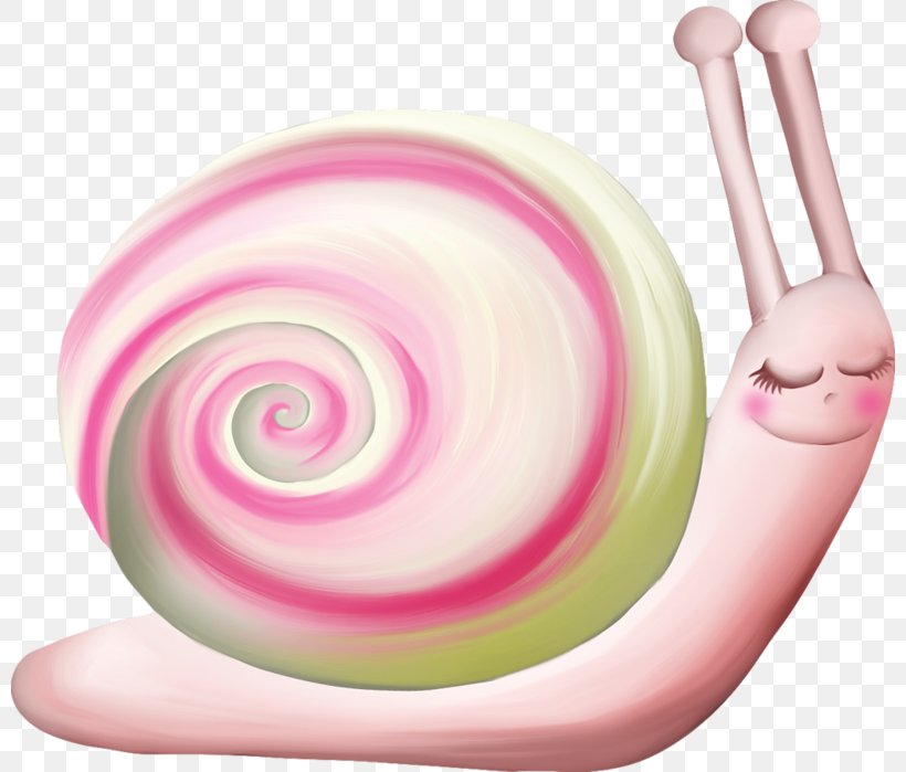 Animal Orthogastropoda Clip Art, PNG, 800x699px, Animal, Cartoon, Computer Network, Confectionery, Lollipop Download Free