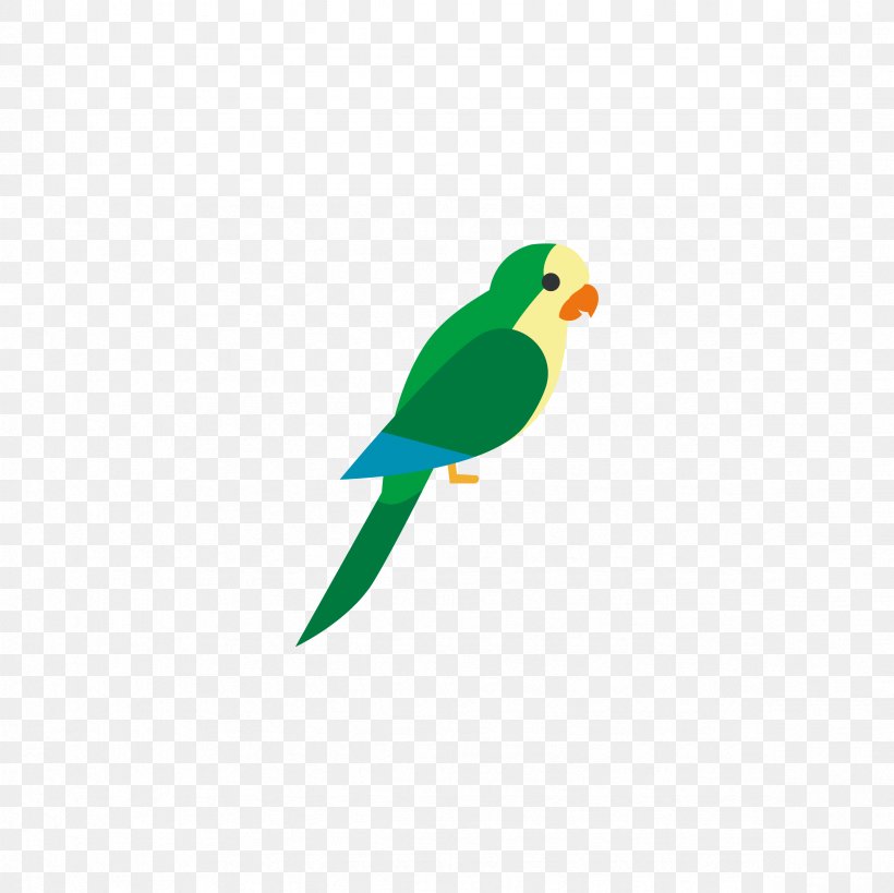 Bird Parrots Of New Guinea Euclidean Vector, PNG, 2362x2362px, Bird, Beak, Common Pet Parakeet, Fauna, Green Download Free