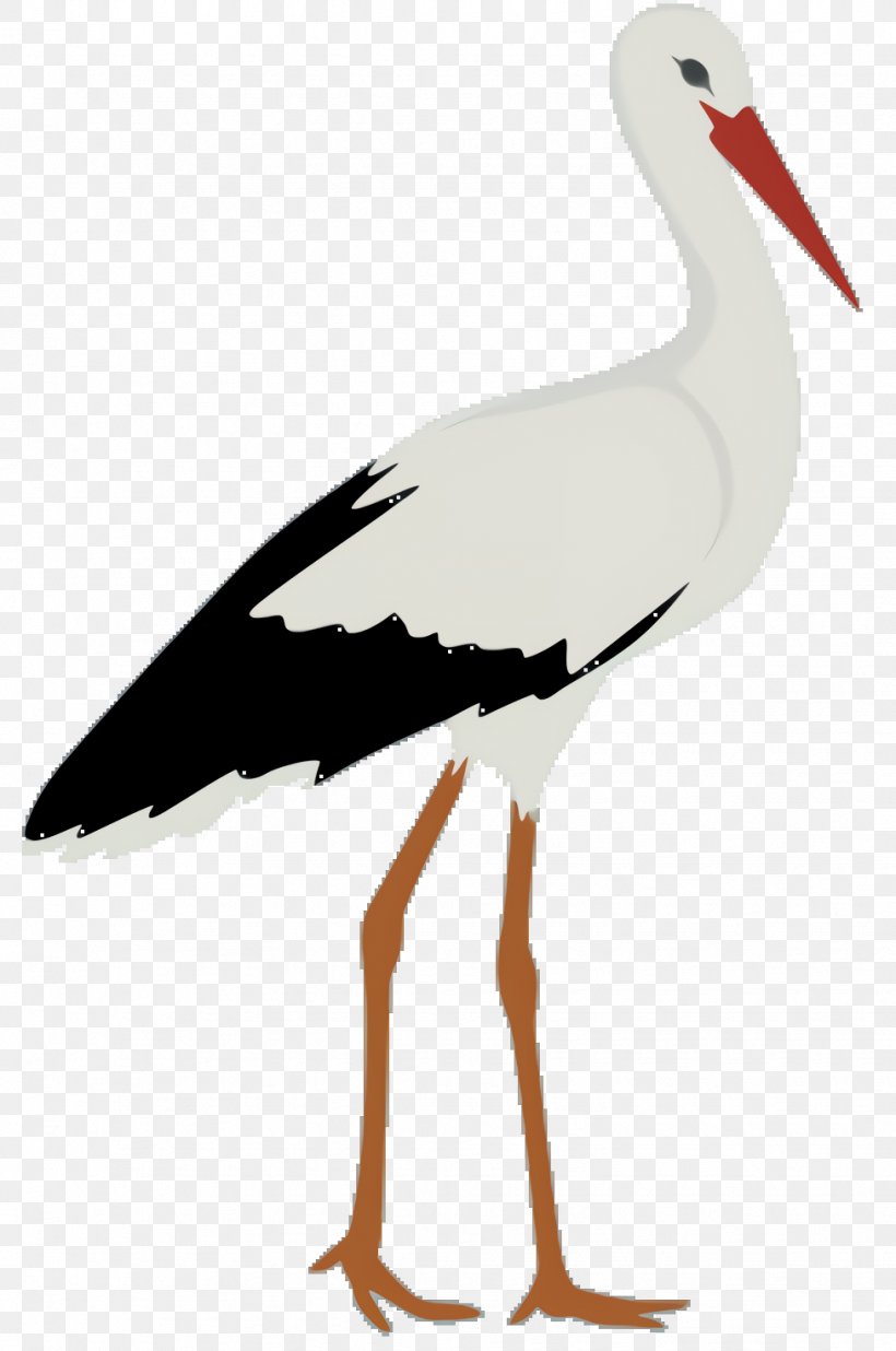 Crane Bird, PNG, 976x1472px, White Stork, Animal, Beak, Bird, Ciconia Download Free