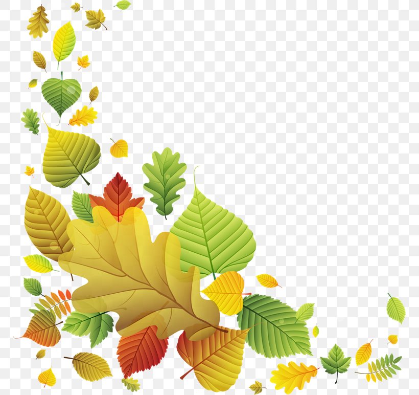Leaf Yellow Picture Frames, PNG, 768x772px, Leaf, Autumn, Autumn Leaf Color, Branch, Drawing Download Free
