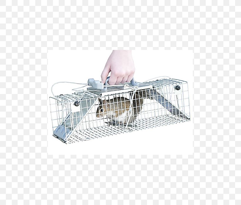 Mousetrap Cage Trapping, PNG, 698x698px, 4k Resolution, Mousetrap, Animal Trap, Cage, Rat Download Free