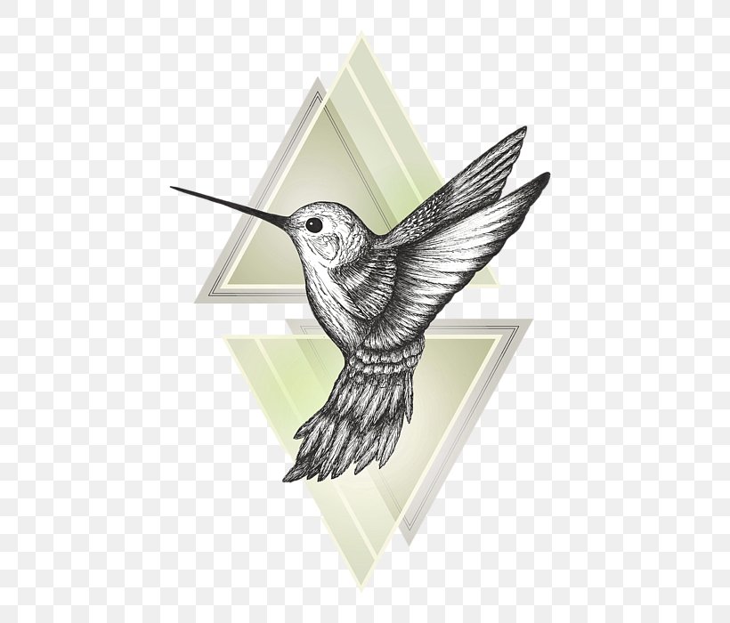 Hummingbird Drawing Art, PNG, 452x700px, Hummingbird, Art, Beak, Bird, Drawing Download Free