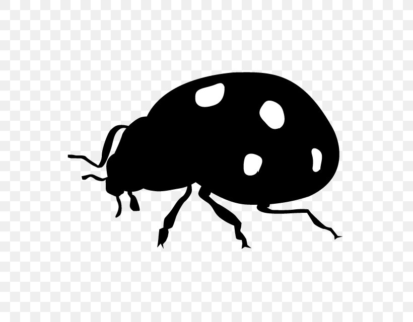 Ladybird Beetle Insect Silhouette Clip Art, PNG, 640x640px, Ladybird Beetle, Animal, Arthropod, Artwork, Beetle Download Free