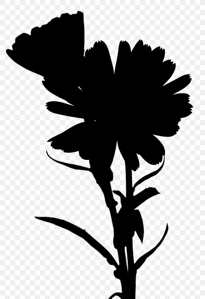 Leaf Design Clip Art Plant Stem Silhouette, PNG, 800x1195px, Leaf, Blackandwhite, Botany, Branch, Branching Download Free