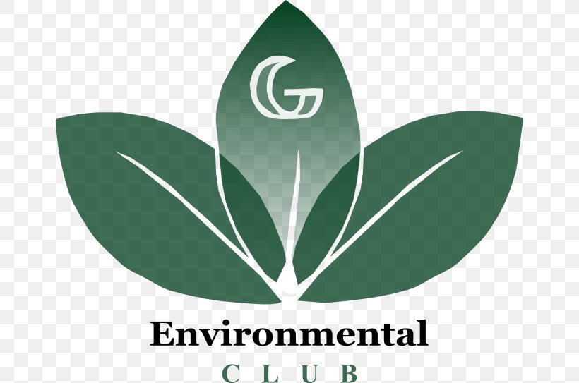 Logo Green Leaf Brand Font, PNG, 662x543px, Logo, Auditor, Brand, Grass, Green Download Free