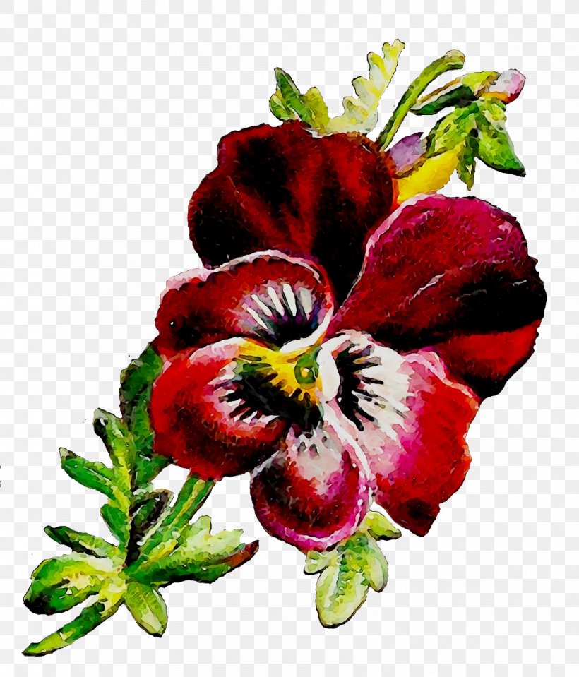 Pansy Herbaceous Plant Plants, PNG, 1710x2000px, Pansy, Botany, Bouquet, Cut Flowers, Flower Download Free