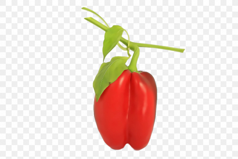 Tomato, PNG, 1920x1284px, Piquillo Pepper, Bell Pepper, Birds Eye Chili, Capsicum Annuum Var Acuminatum, Cayenne Pepper Download Free