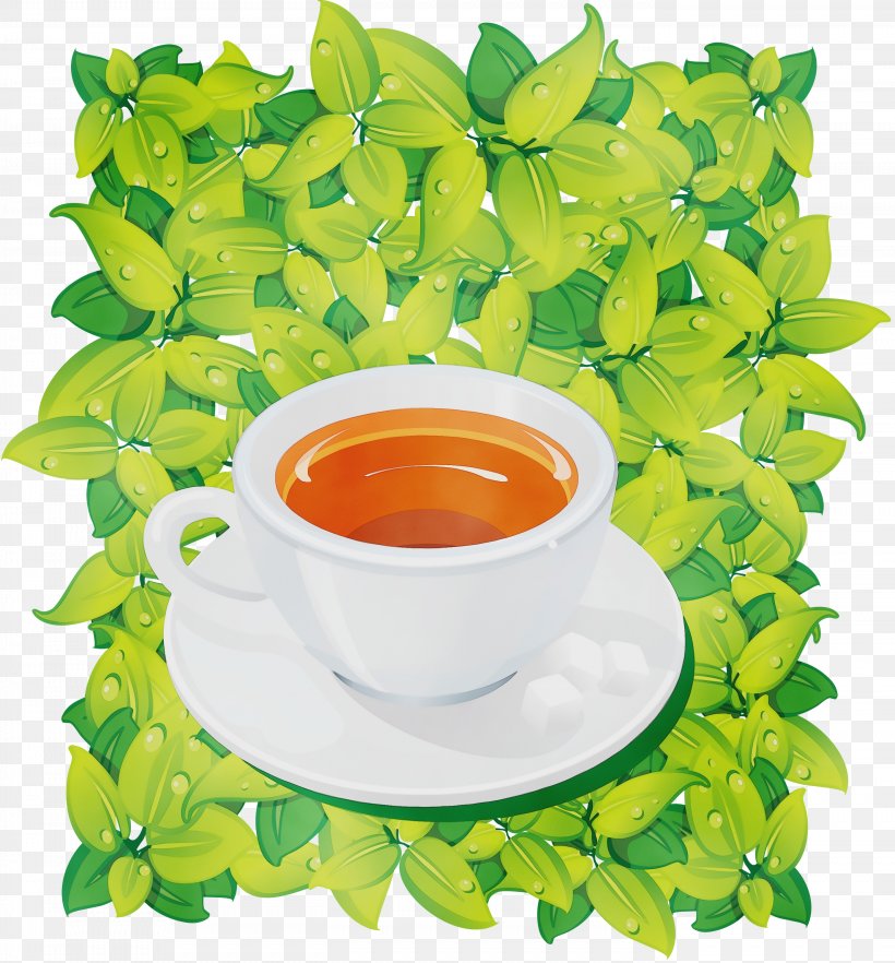 Green Tea, PNG, 2788x3000px, Watercolor, Annual Plant, Chrysanthemum, Chrysanthemum Tea, Cup Download Free