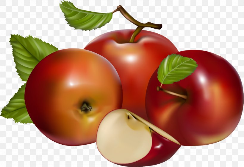Juice Apple Auglis, PNG, 1487x1016px, Juice, Accessory Fruit, Acerola, Acerola Family, Apple Download Free