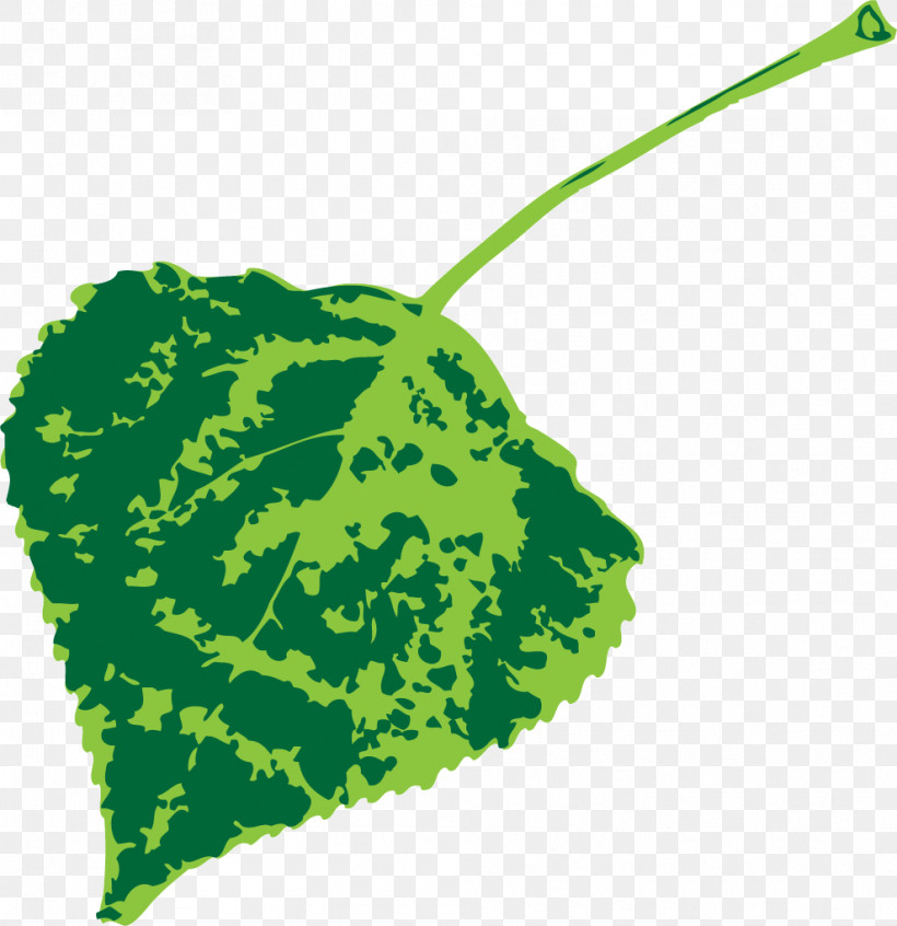 Leaf Green Meter Biology Science, PNG, 989x1021px, Leaf, Biology, Green, Meter, Plant Structure Download Free