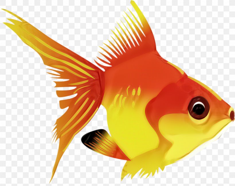 Vector Graphics Goldfish Download, PNG, 1136x898px, Fish, Animal, Aquarium Fish, Bonyfish, Butterflyfish Download Free