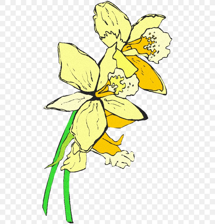 Flower, PNG, 500x855px, Floral Design, Art, Artwork, Cut Flowers, Daffodil Download Free