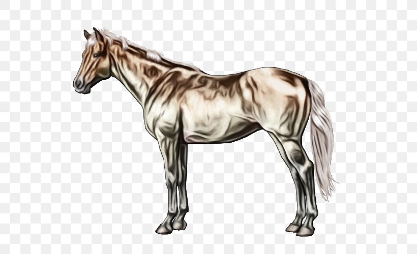 Horse Animal Figure Mare Sorrel Mane, PNG, 600x500px, Watercolor, Animal Figure, Horse, Liver, Mane Download Free