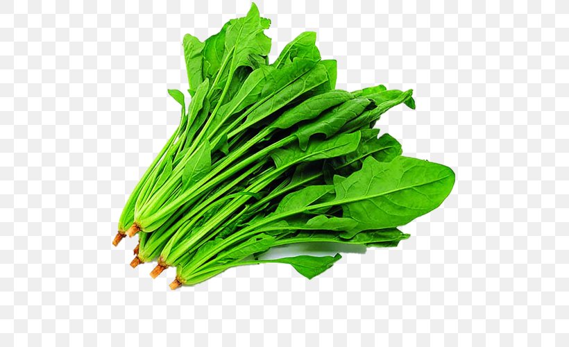 Spinach Vegetable Food Seed Herb, PNG, 500x500px, Spinach, Chard, Chenopodioideae, Choy Sum, Collard Greens Download Free