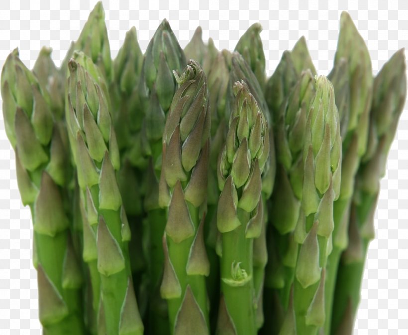 Asparagus Vegetable Herb Food Health, PNG, 992x814px, Asparagus, Commodity, Cooking, Eating, Food Download Free