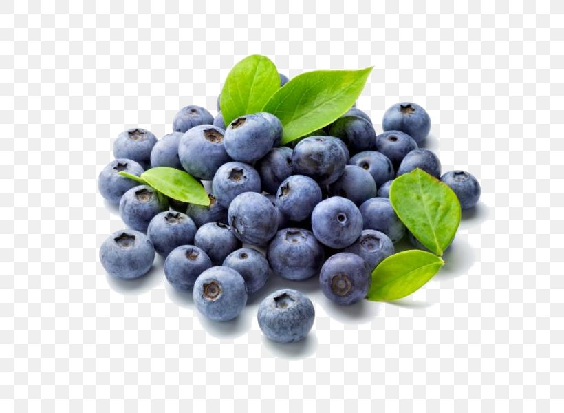 Blueberry Fruit Food Antioxidant Shrub, PNG, 800x600px, Blueberry, Anthocyanin, Antioxidant, Aristotelia Chilensis, Berry Download Free