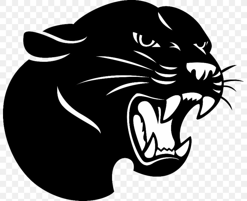 Burlingame High School San Mateo High School Avon Middle High School Carlmont High School, PNG, 800x667px, San Mateo High School, Big Cats, Black, Black And White, Burlingame Download Free