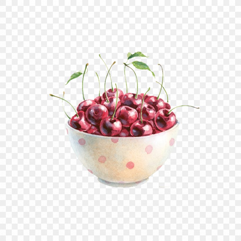 Cherry Blossom Drawing, PNG, 2362x2362px, Cherry, Auglis, Berry, Bowl, Cerasus Download Free