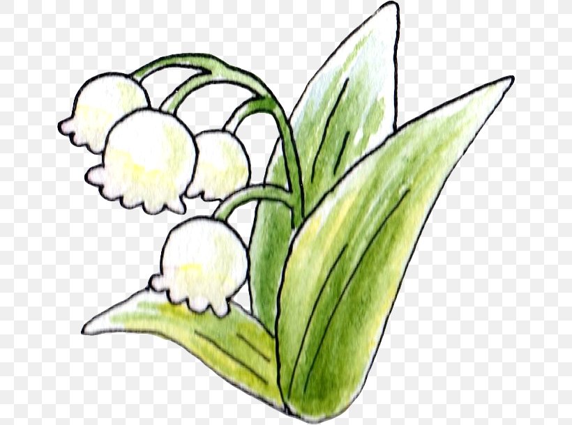 Floral Design Lily Of The Valley Flower Uda, PNG, 660x610px, Floral Design, Artwork, Coloring Book, Cut Flowers, Fictional Character Download Free