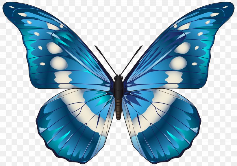 Butterfly Blue Morpho Menelaus Clip Art, PNG, 3500x2446px, Butterfly, Arthropod, Blue, Brush Footed Butterfly, Butterflies And Moths Download Free