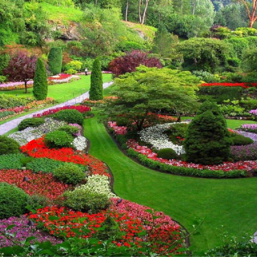 Garden Landscapes Small Family Gardens Garden Ideas Landscape Design, PNG, 1024x1024px, Garden Landscapes, Annual Plant, Back Garden, Backyard, Botanical Garden Download Free