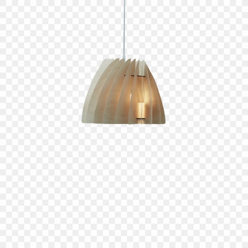 Pendant Light Light Fixture Lighting Electric Light, PNG, 1100x1100px, Light, Bedroom, Birch, Ceiling Fixture, Designer Download Free