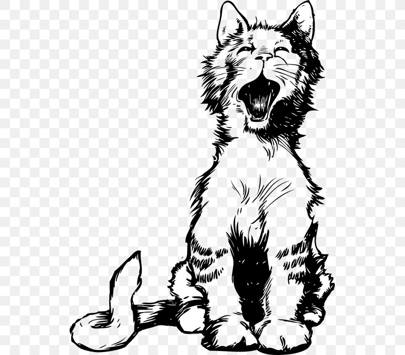 Siamese Cat Persian Cat Kitten Meow Clip Art, PNG, 537x720px, Siamese Cat, Art, Big Cat, Big Cats, Black And White Download Free