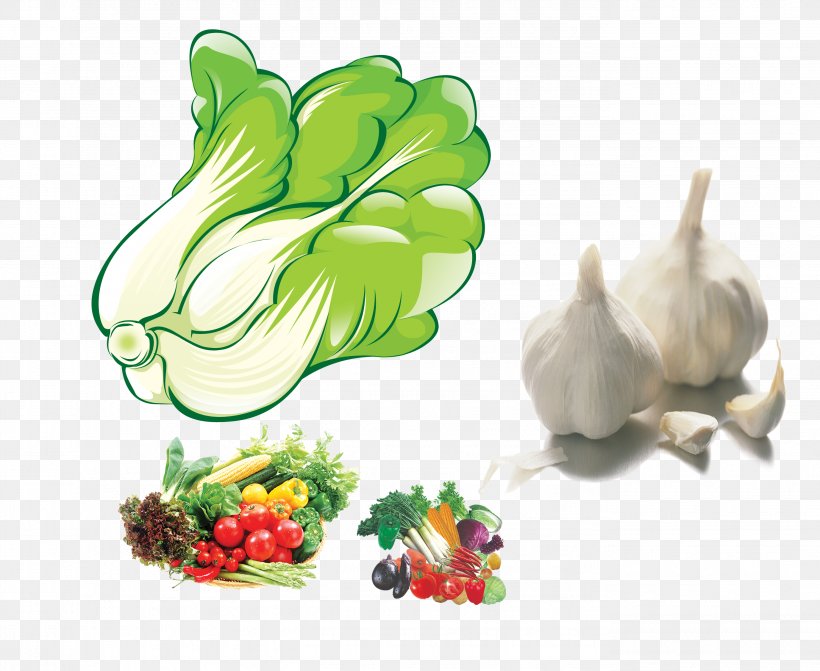 Chinese Cabbage Napa Cabbage Cartoon, PNG, 2755x2256px, Chinese Cabbage, Animation, Cartoon, Comics, Floral Design Download Free