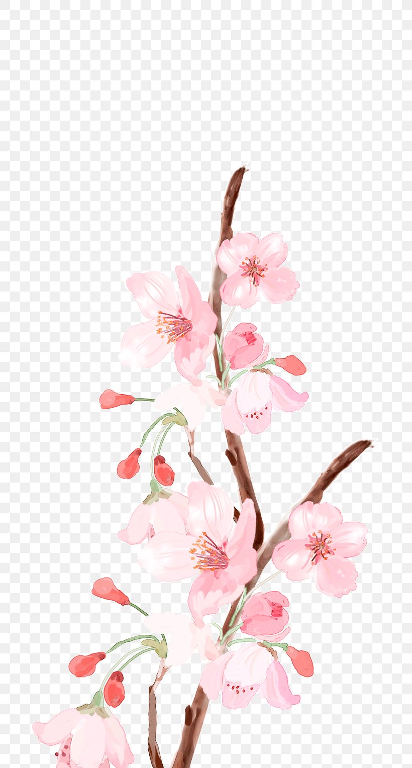 Flower Pink Color, PNG, 693x1528px, Flower, Blossom, Branch, Cherry Blossom, Color Download Free