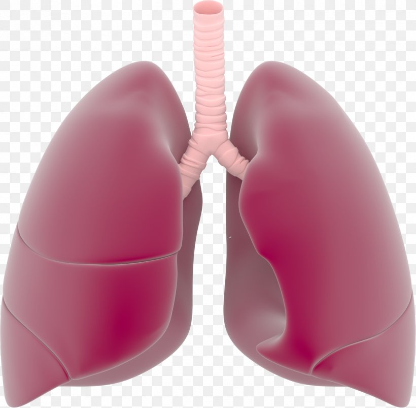 Lung Respiratory System Clip Art, PNG, 1347x1320px, Watercolor, Cartoon
