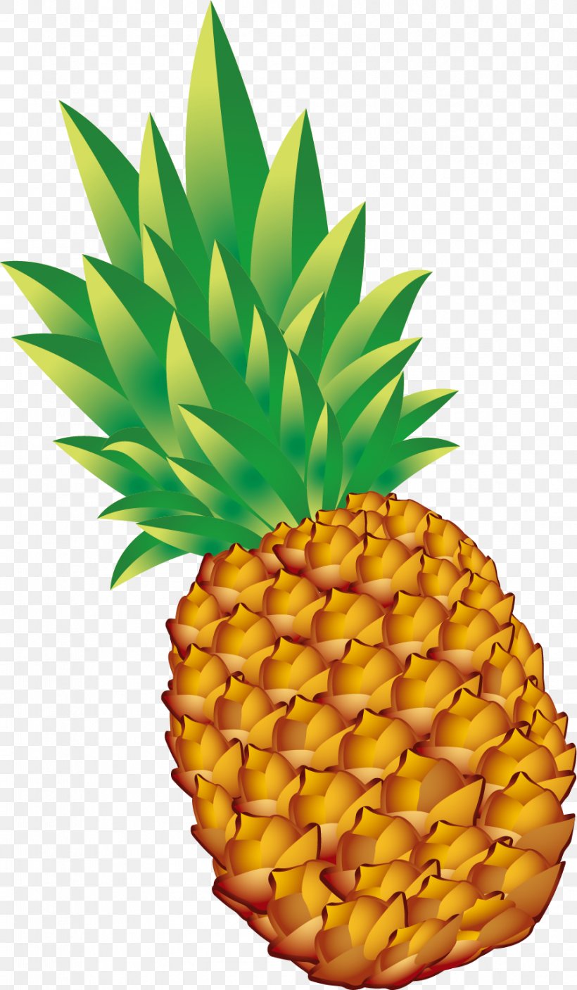 Pineapple Vegetarianism Fruit, PNG, 901x1547px, Pineapple, Ananas, Appetite, Auglis, Bromeliaceae Download Free