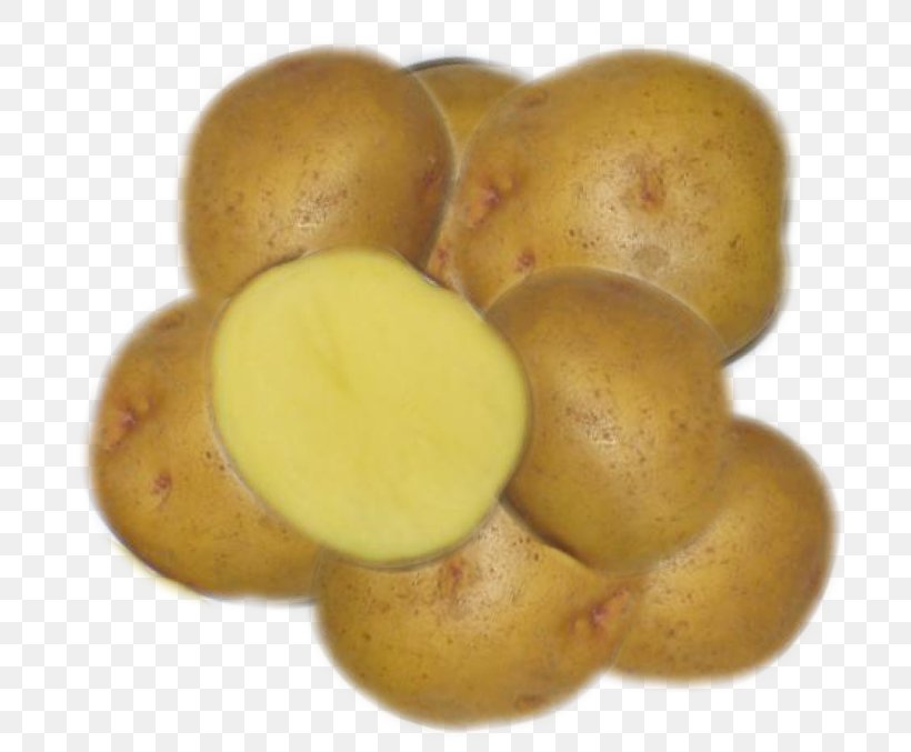 Russet Burbank Potato Yukon Gold Potato Bintje Tuber Kennebec Potato, PNG, 755x677px, Russet Burbank Potato, Baking, Bintje, Commodity, Crop Download Free