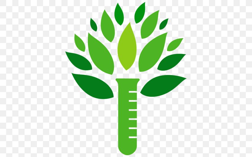 Tree Logo, PNG, 512x512px, Tree, Drawing, Environmentally Friendly, Flora, Flower Download Free